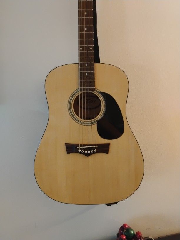 Peavy Acoustic Guitar
