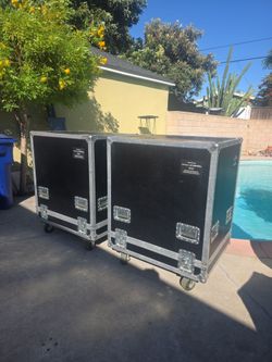Ascot Large Flight Storage Cases