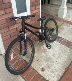 Specialized 20in