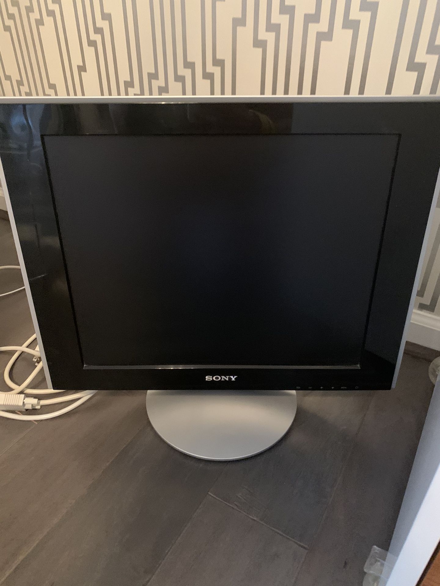 Sony Computer Monitor