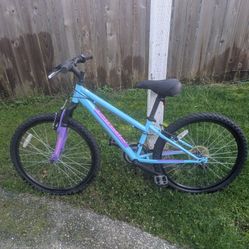 Nishiki pueblo 24 bike