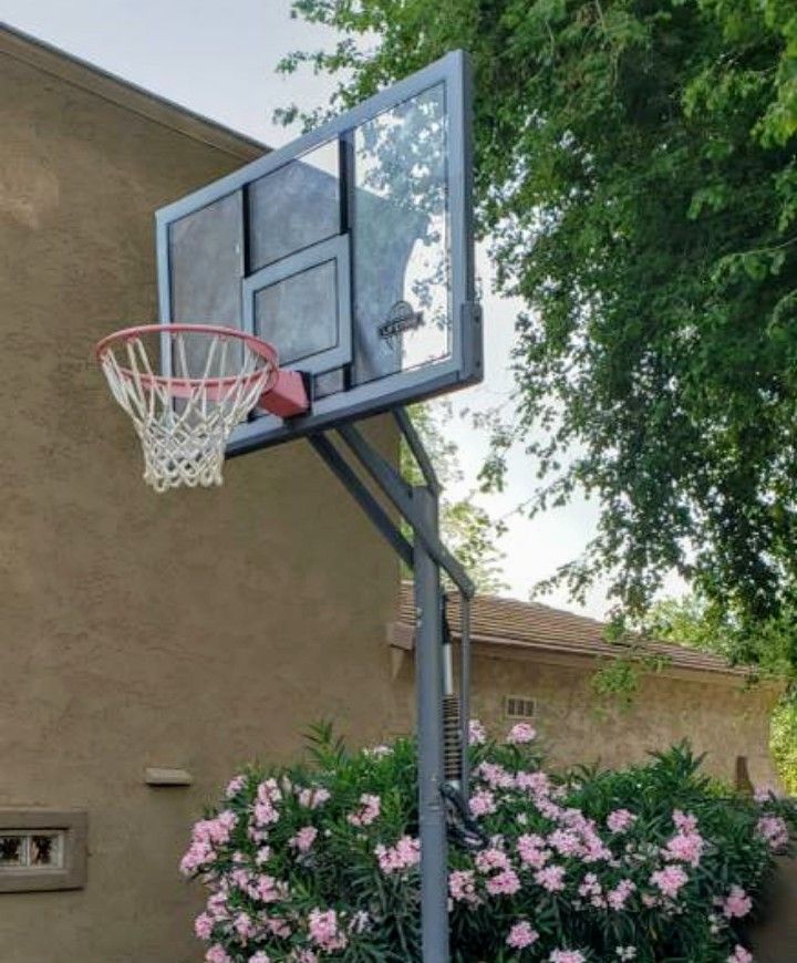 Basketball Hoop Fully Adjustable by Lifetime (Free Delivery)