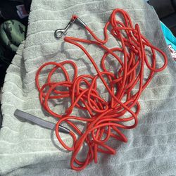 20 feet dog leash