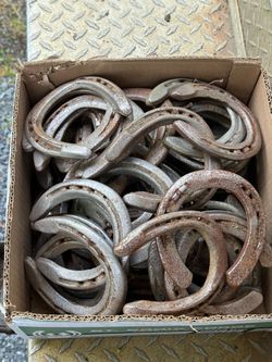 Horseshoes