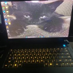 AlienWare m15 R7  Gaming Laptop 