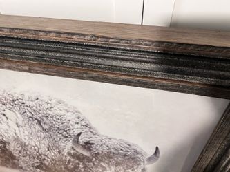 Portrait bison