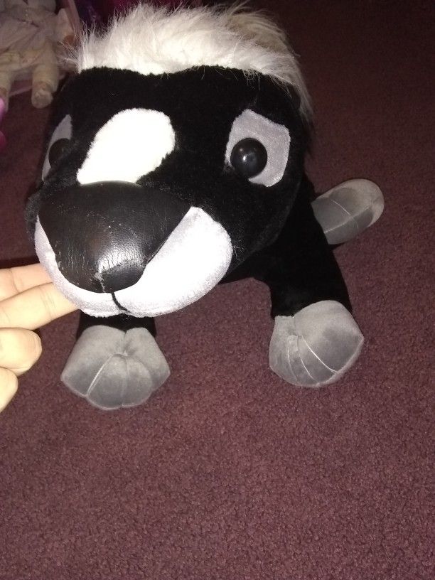 Large skunk...rare