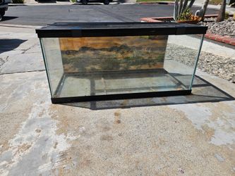 50 gallon tank