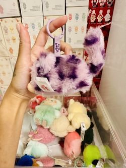 Wild Cat Popmart Authentic 