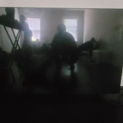 65 Inch Vizio Tv