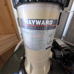 Hayward pool pump