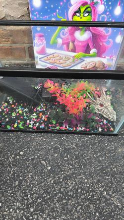 Fish tank