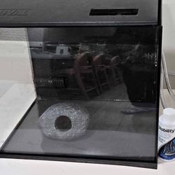 Fluval flex aquarium kit 9 gallon