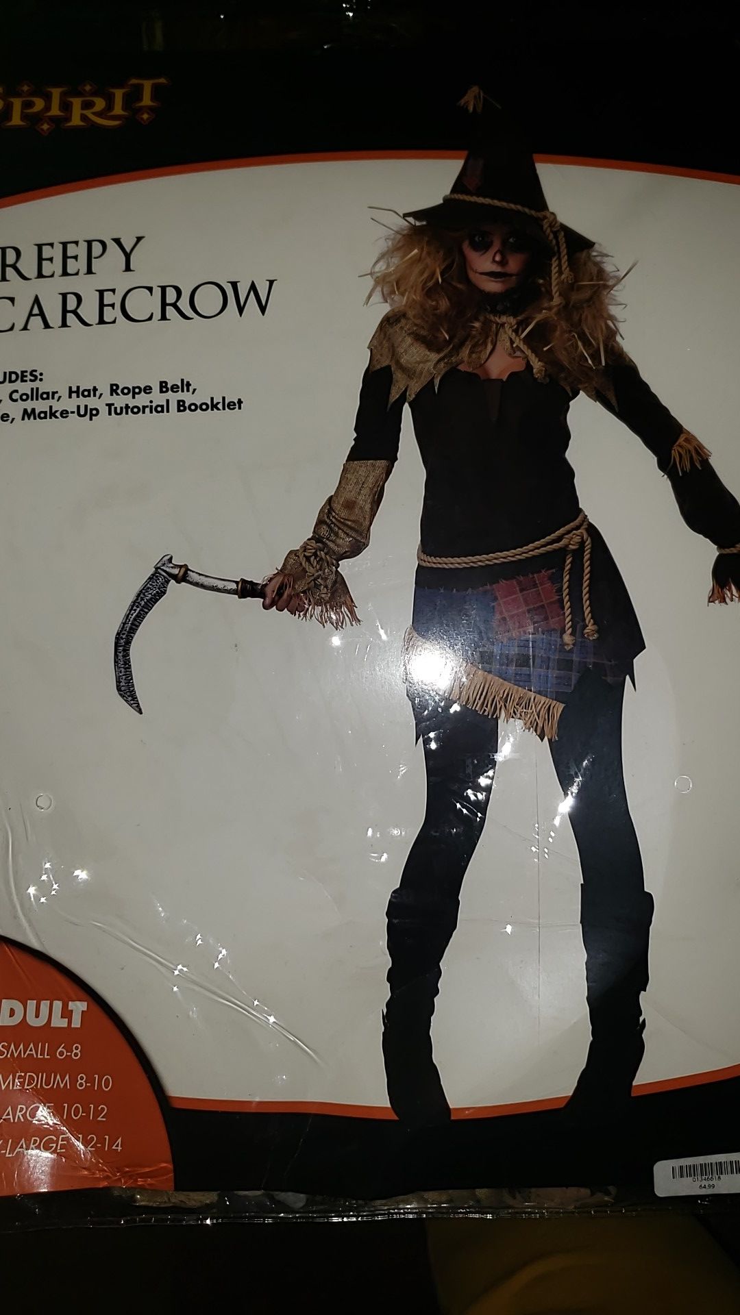 Creepy Scarecrow Costume