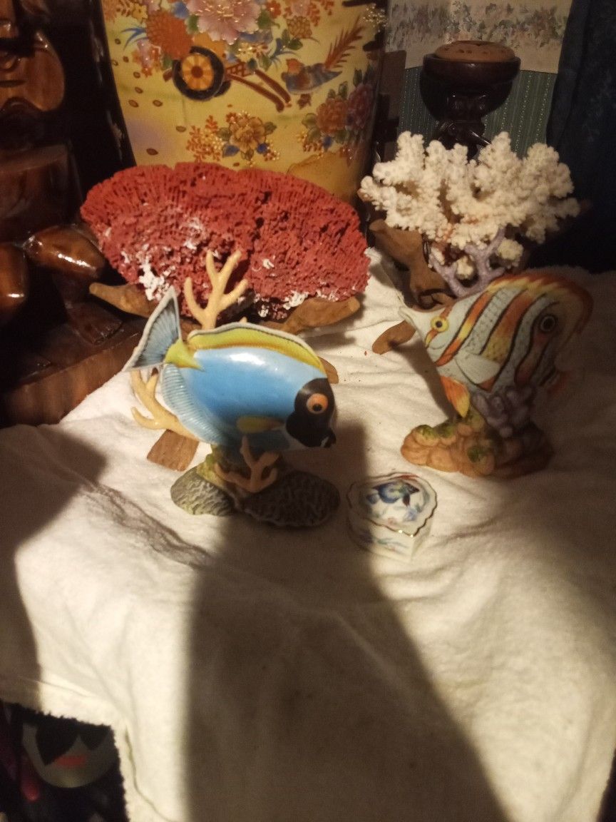 Andrea Sadek Porcelain Hand Painted Fish 2 Real Corals On Hand Curved Drift Wood And Small Trinket Box