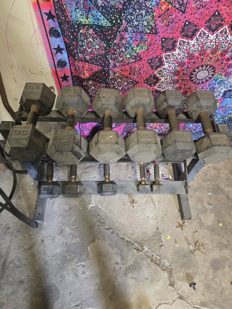 Dumbells With Rack/belt/ Curl Bar