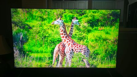 Samsung TV 65 inch