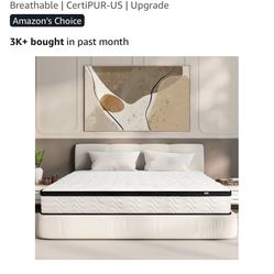 Queen Mattress 