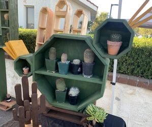 Wood Cactus Shape Display