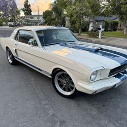 1964 1/2 Ford Mustang coupe GT 350 tribute 289 V8 engine 