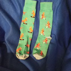 Dinosaur Socks 