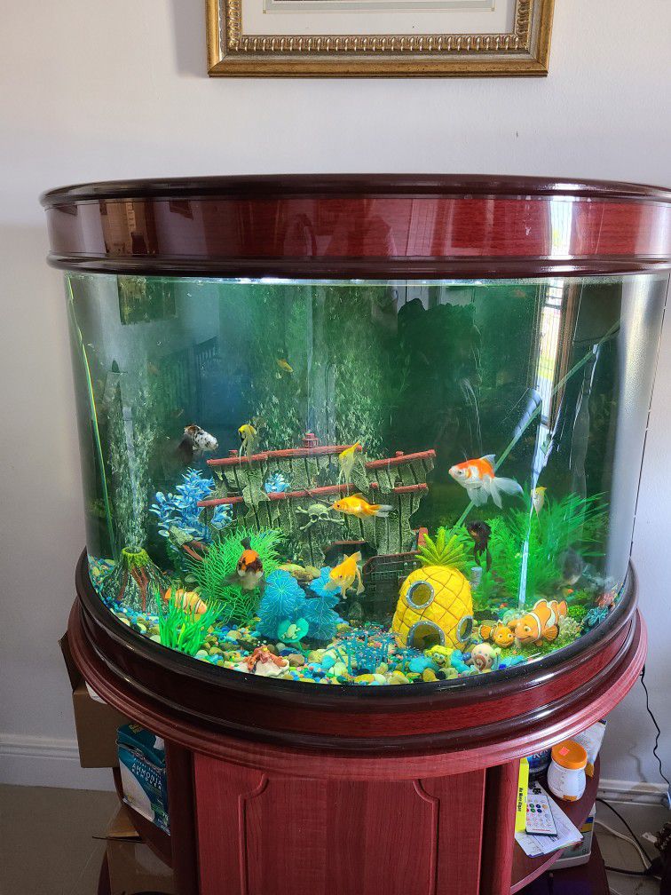 55 GALLON FISH TANK WITH STAND , FILTER , fish tanks cleaner included, everything included 