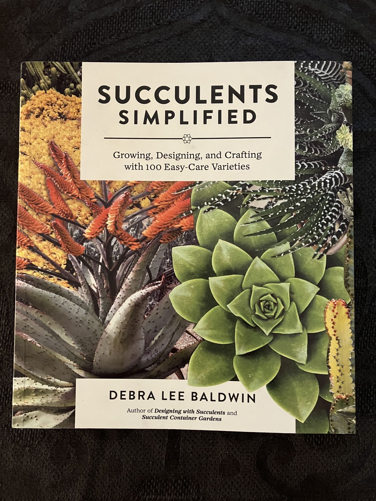 Succulents Simplified