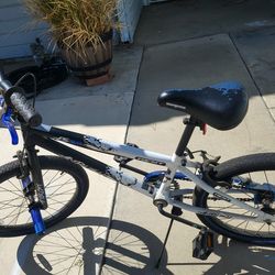Boy's 20 inch Bike