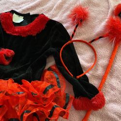 Halloween ladybug Costume For $7!!