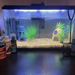 Like New Fish Tank! Well Take Care Of!