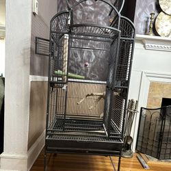Parrot / Bird Cage