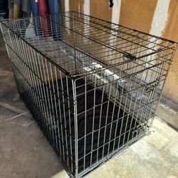 Medium Dog Crate