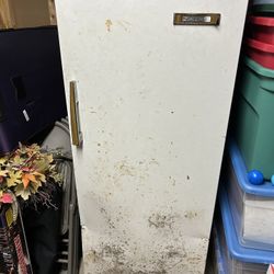 Upright Freezer