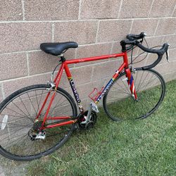 Special Edition Lemond Bike