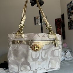 Y2K Coach Penelope Bag 