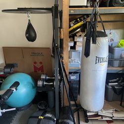 Everlast Punching Bag + Stand 