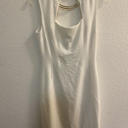 Amazing White BCBG Dress