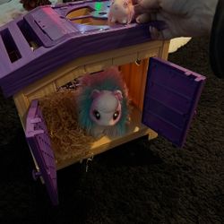 Hamster 🐹 Toy