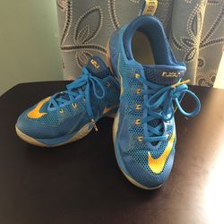 LeBron Basketball Shoes Size 7 Youth