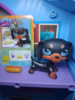 Littlest pet shop for trade or sell