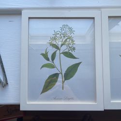 Beautiful Flower Portrait 