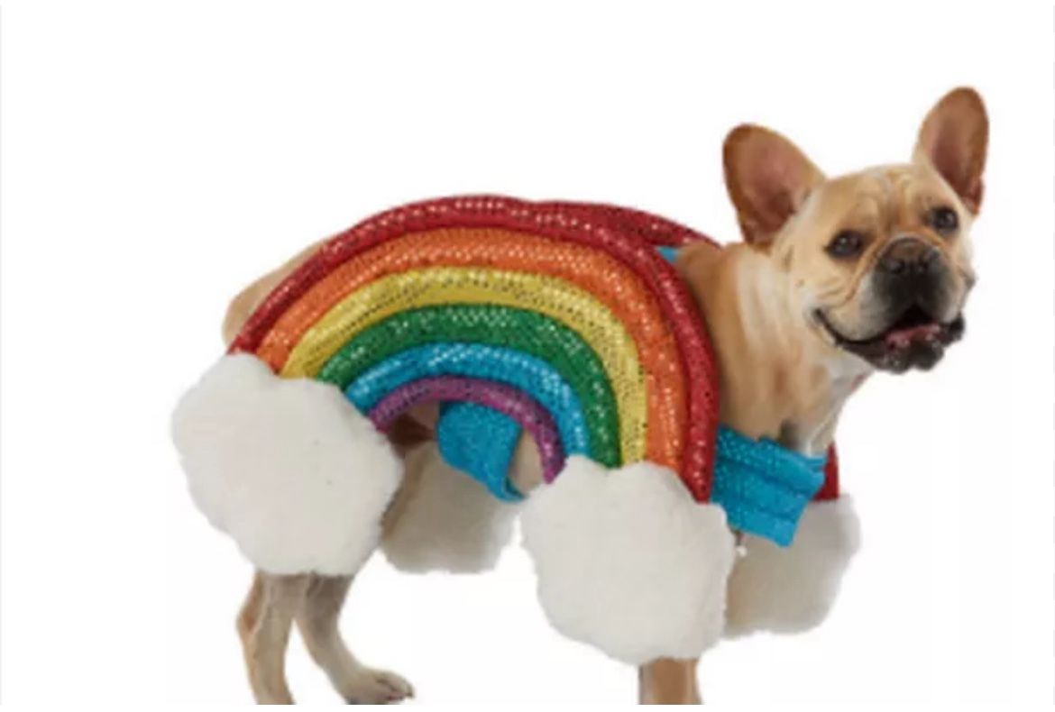 Rainbow Doggie Costume