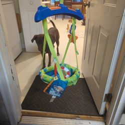 Baby Einstein Bouncer