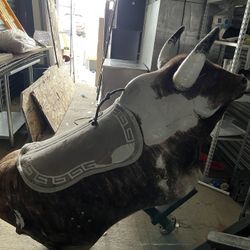 Mechanical Bull