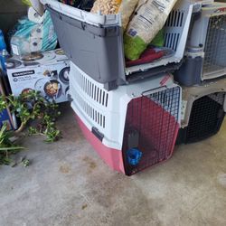 Dog Crates 