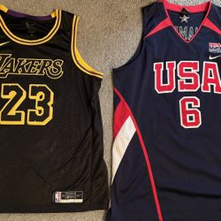 Nike NBA Lebron James #23 Jersey LA Lakers "Black Mamba" Swingman Jersey Men's 