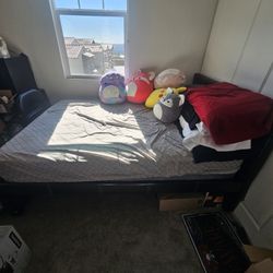 Need Frame And Mattress With Pullout Trundle Full