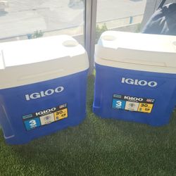 Igloo Cooler + Fridge