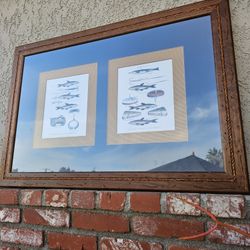 Wood Framed English Art Depicting Trolling Implements or Lures, Snaphooks and Trimmers