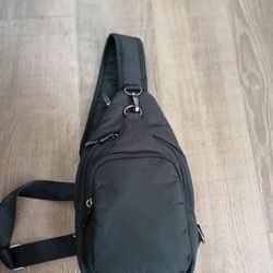 Baggallini Bag 